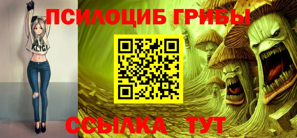 Ухта  Псилоцибиновые грибы Magic Shrooms  Галлюциногенные грибы Psilocybine cubensis  Вход с VPN 